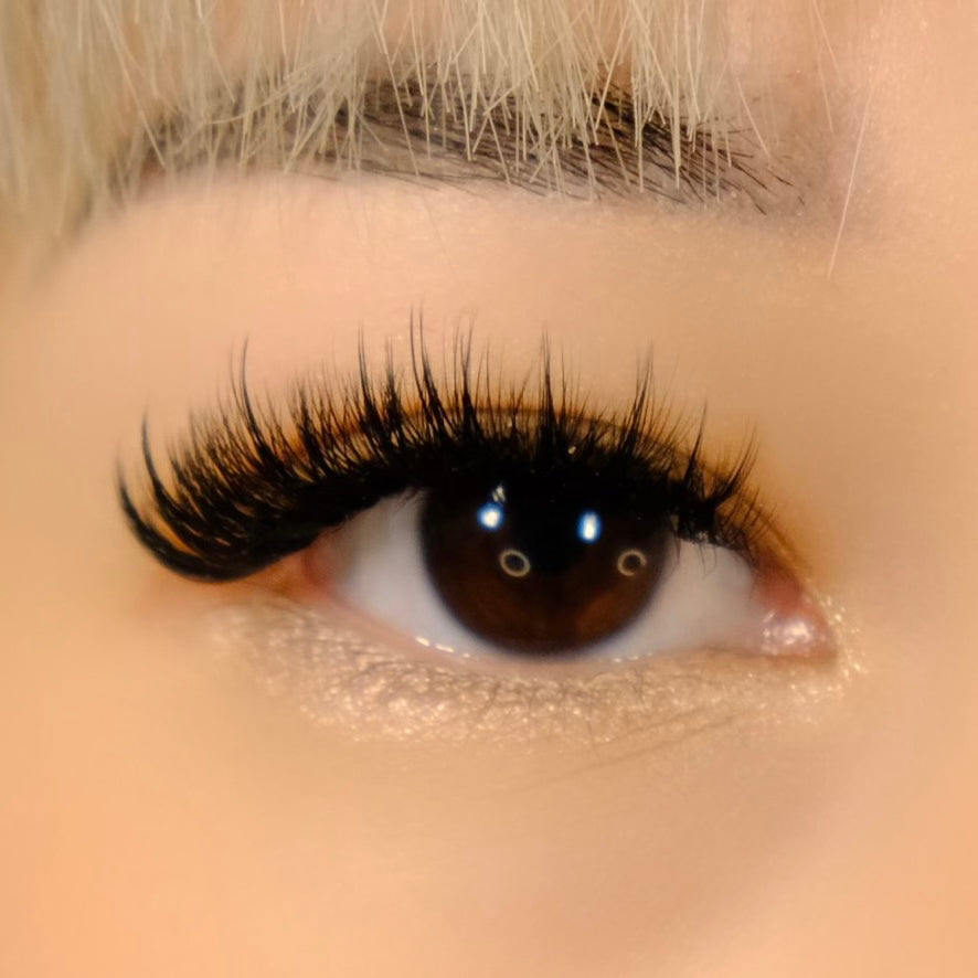 Premium Collection: Volume Lash Trays