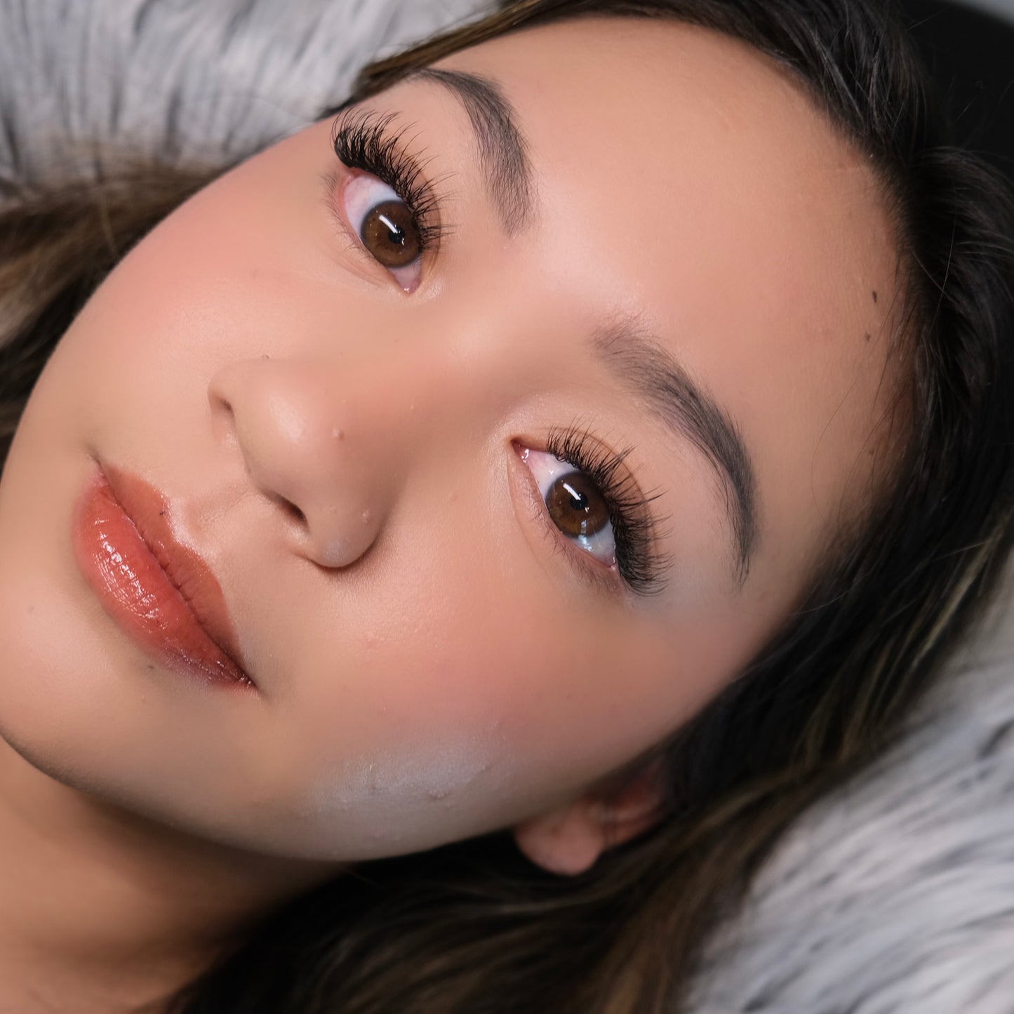 Signature Collection: Volume Lash Trays