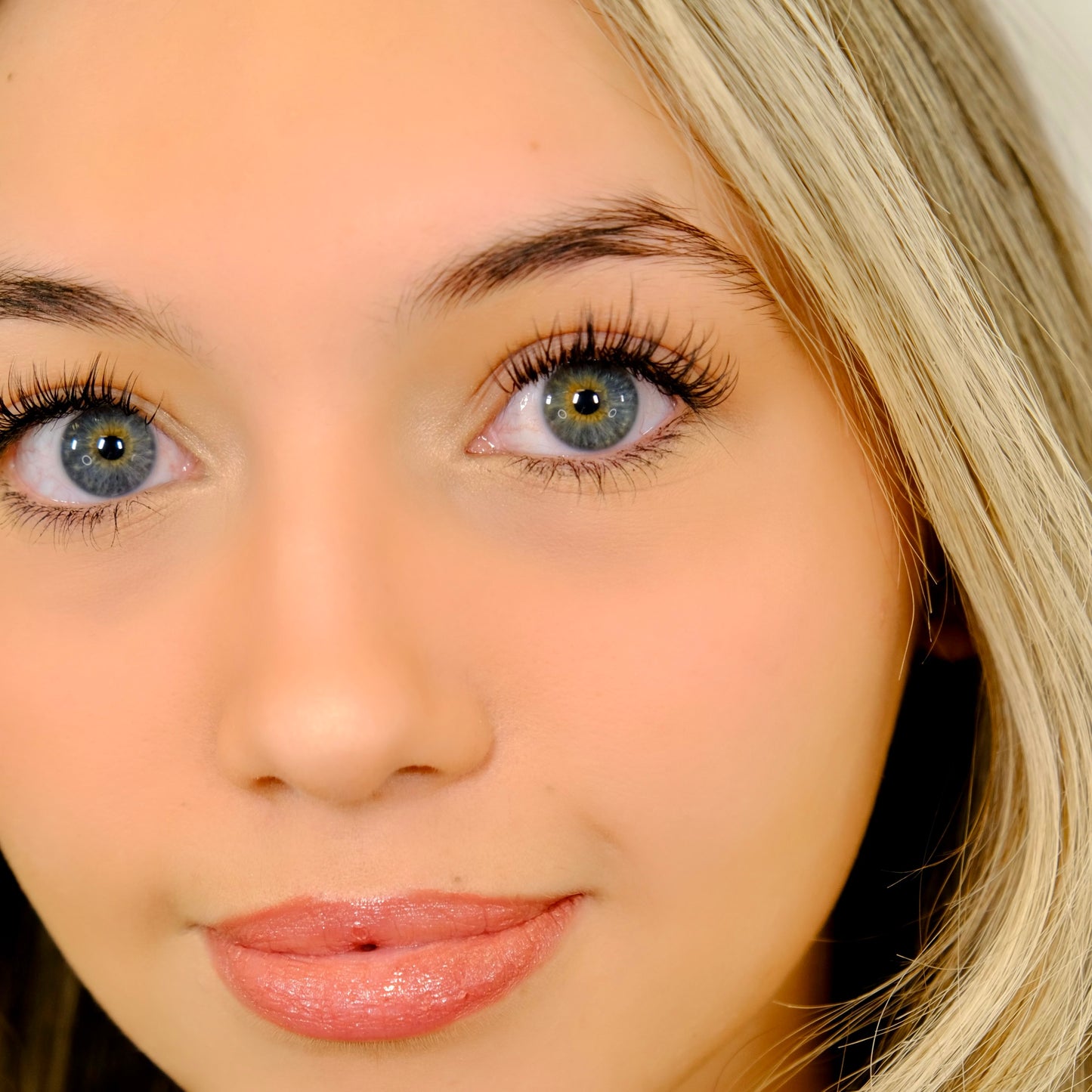 Premium Collection: Volume Lash Trays